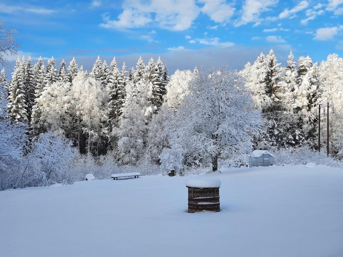 Geijersholms Herrgard Hagfors Exterior foto
